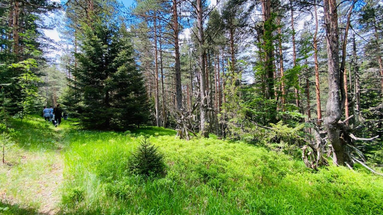 Eco Village Pavlovic Жабляк Экстерьер фото