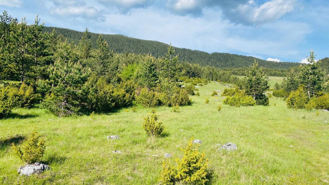 Eco Village Pavlovic Жабляк Экстерьер фото